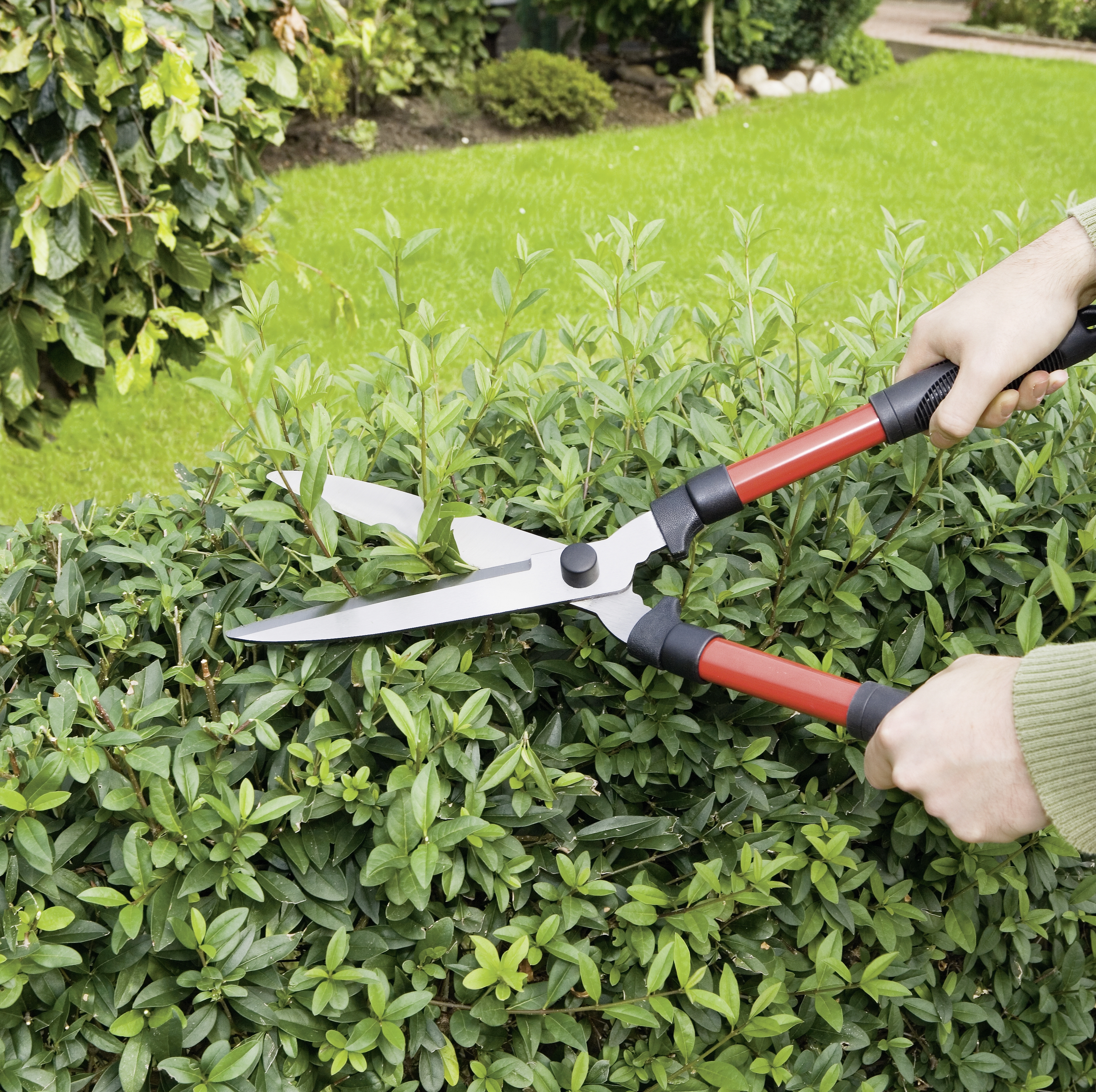 Фото ручного. Кусторез PALISAD 60562. Кусторез PALISAD 60591, 560мм. Секатор Садовая ножница. Кусторез 520мм /006402/24шт/Park.