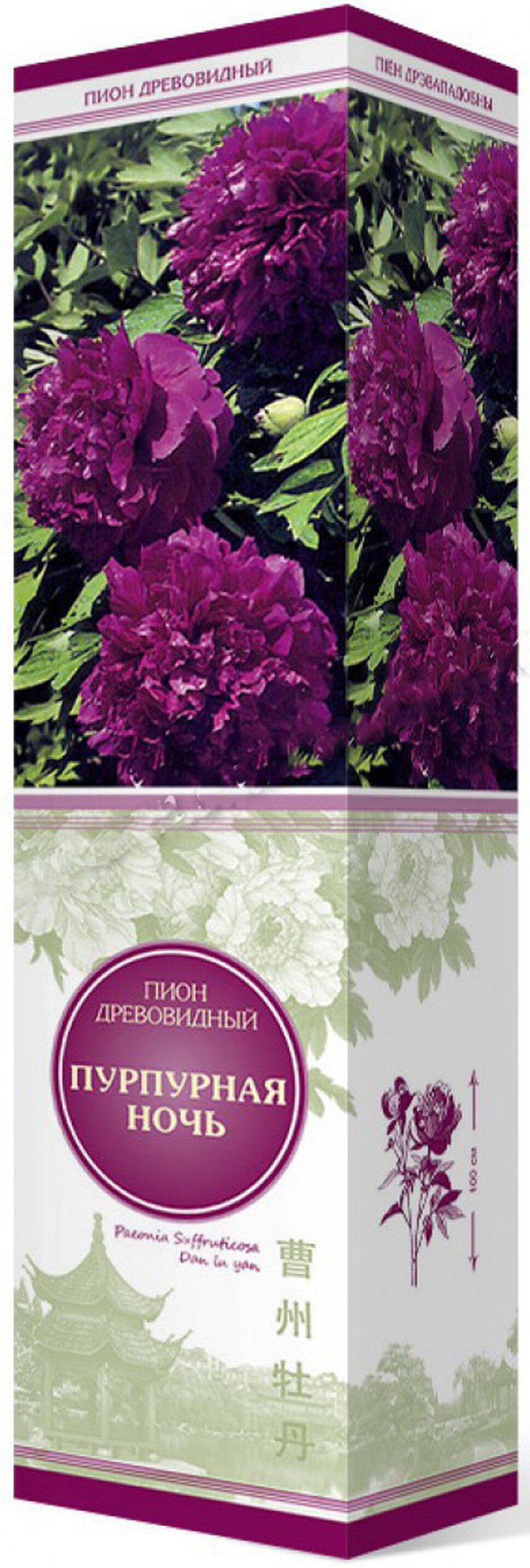 Изображение товара Саженец пиона Пурпурная Ночь 1863844 многолетний кустарник для сада