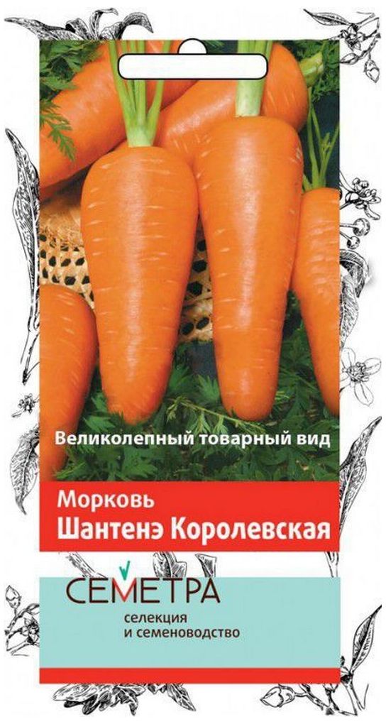 Изображение товара Семена Моркови ПОИСК Шантенэ Королевская 2 г