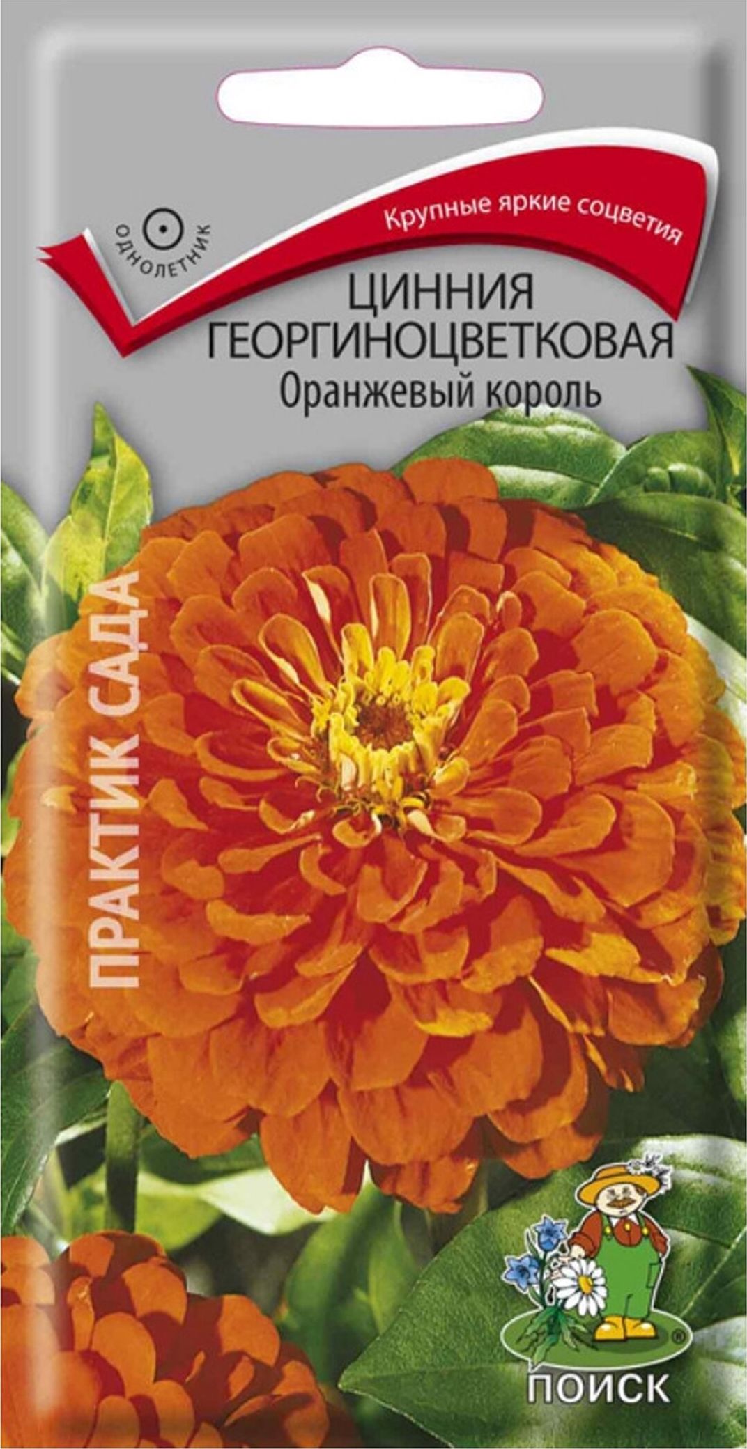 Изображение товара Семена Циннии георгиноцветковой ПОИСК Оранжевый король 0,4 г