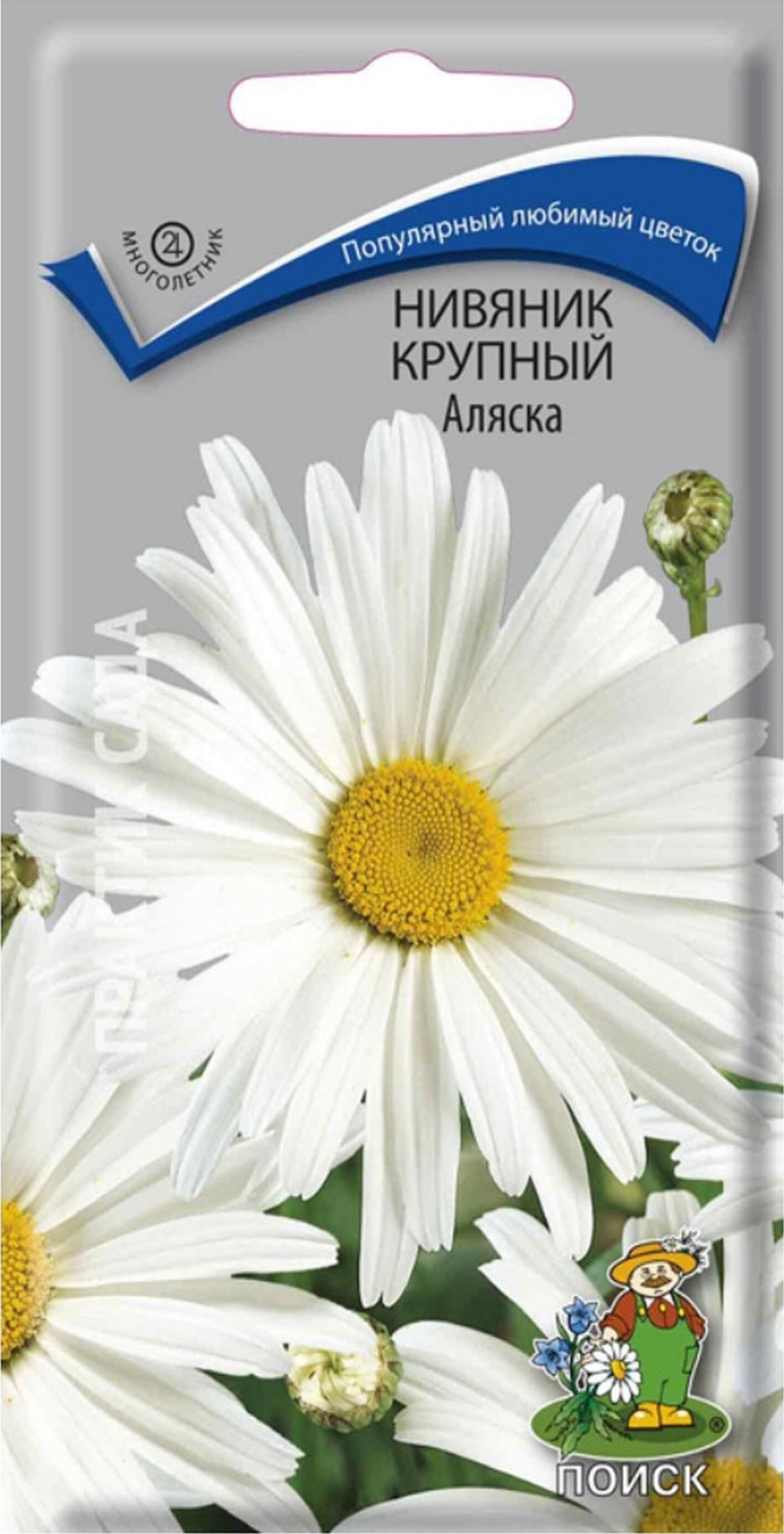 Изображение товара Семена Нивяника ПОИСК Аляска 0,5 г