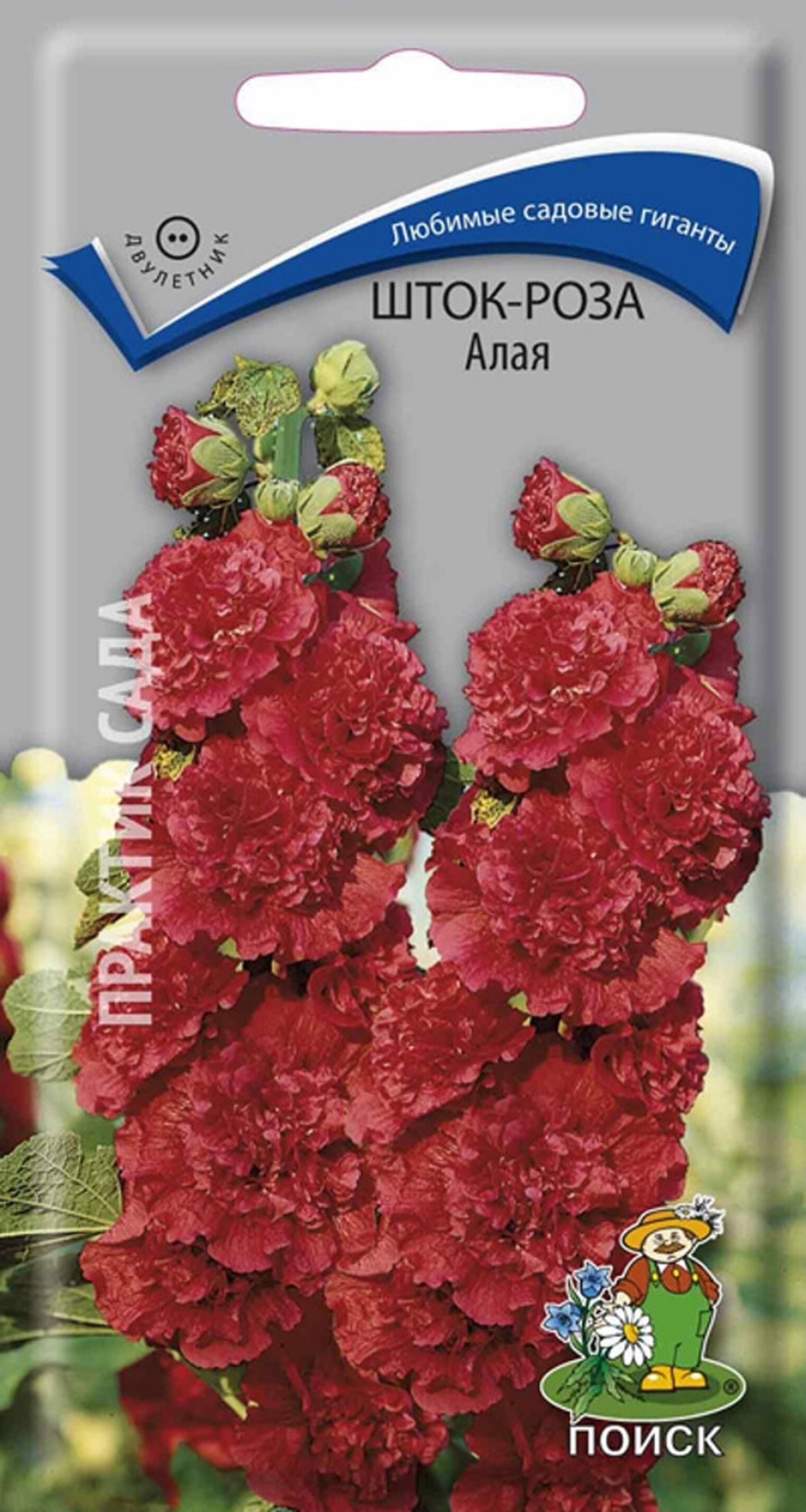 Изображение товара Семена Штокрозы ПОИСК Алая 0,1 г
