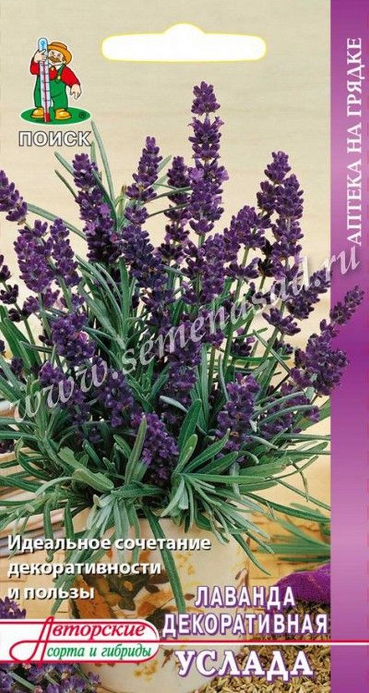 Изображение товара Семена Лаванды ПОИСК Услада 0,25 г