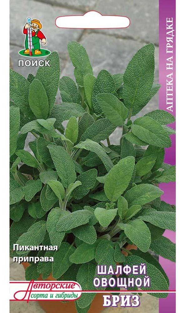 Изображение товара Семена Шалфея ПОИСК Бриз 0,5 г