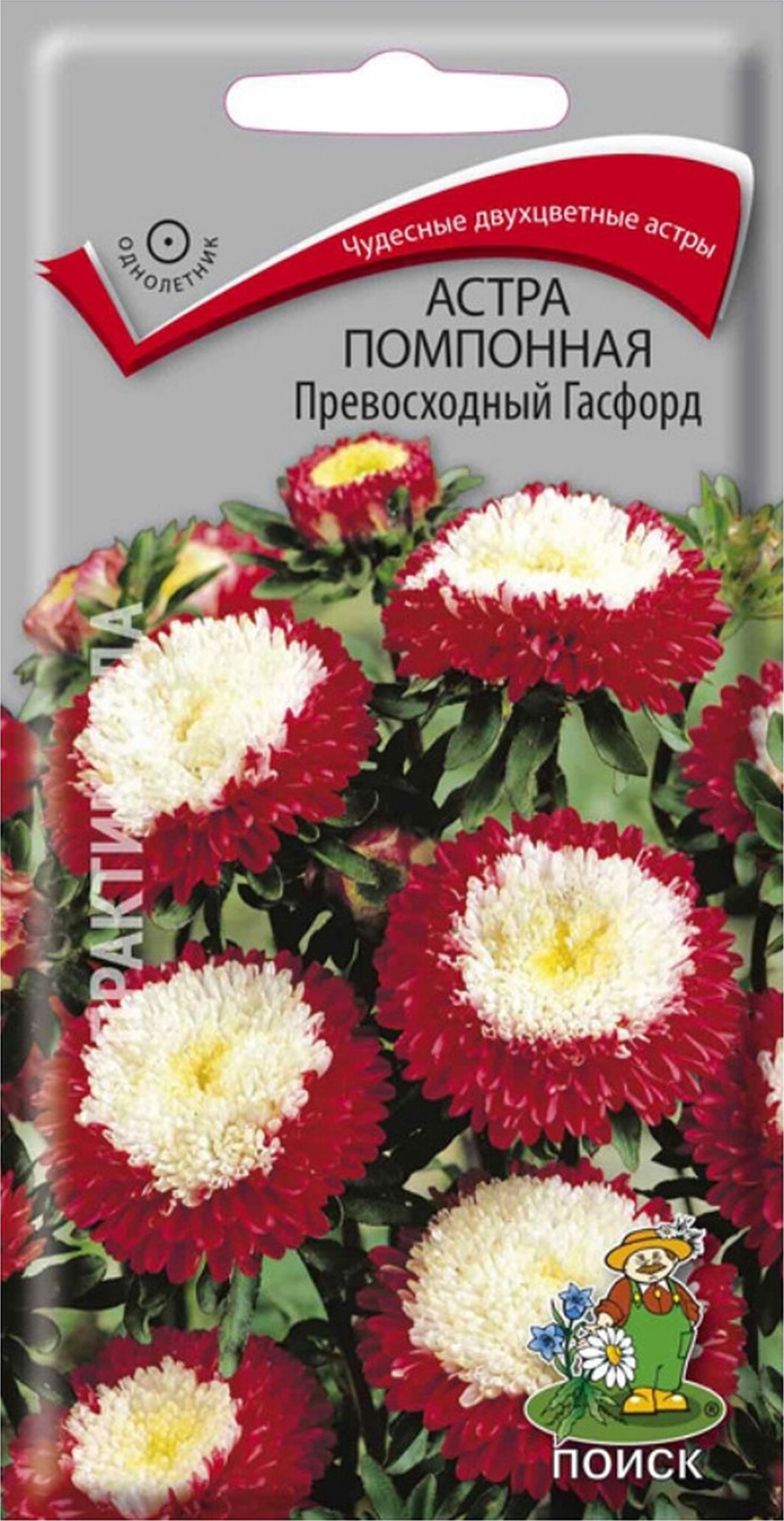Изображение товара Семена Астры помпонной ПОИСК Превосходный Гасфорд 0,3 г