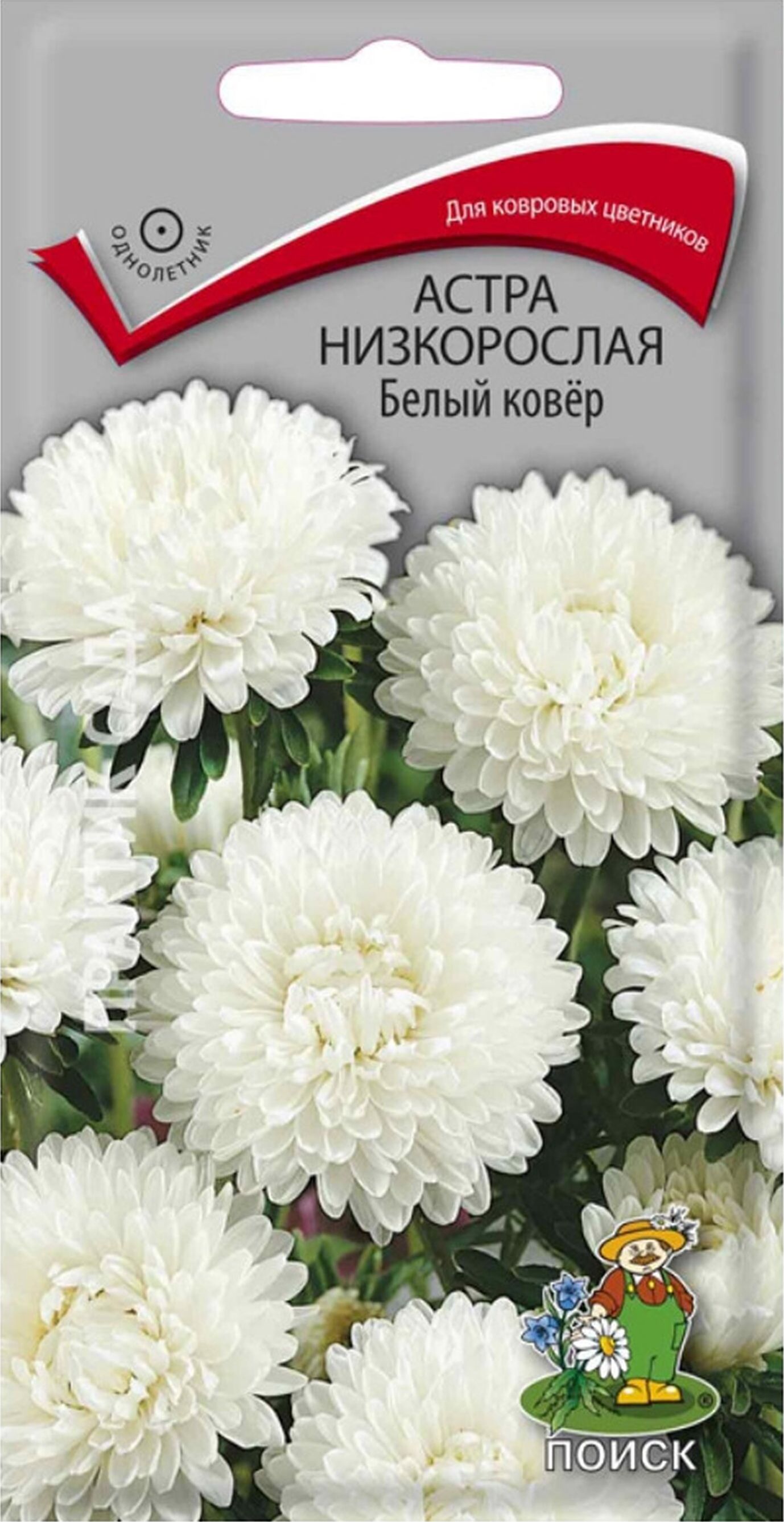 Изображение товара Семена Астры низкорослой ПОИСК Белый ковер 0,2 г