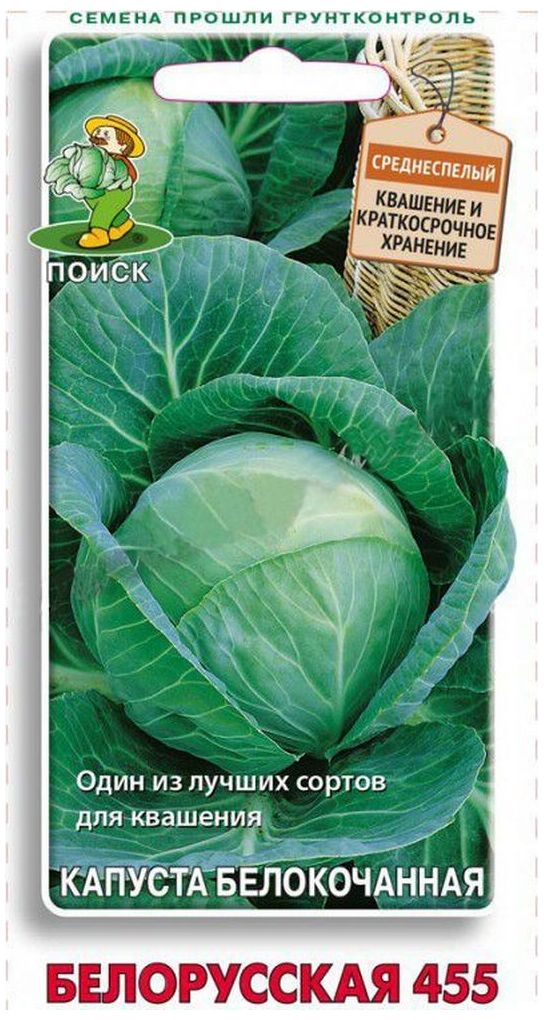 Изображение товара Семена Капусты ПОИСК Белорусская 455 0,5 г