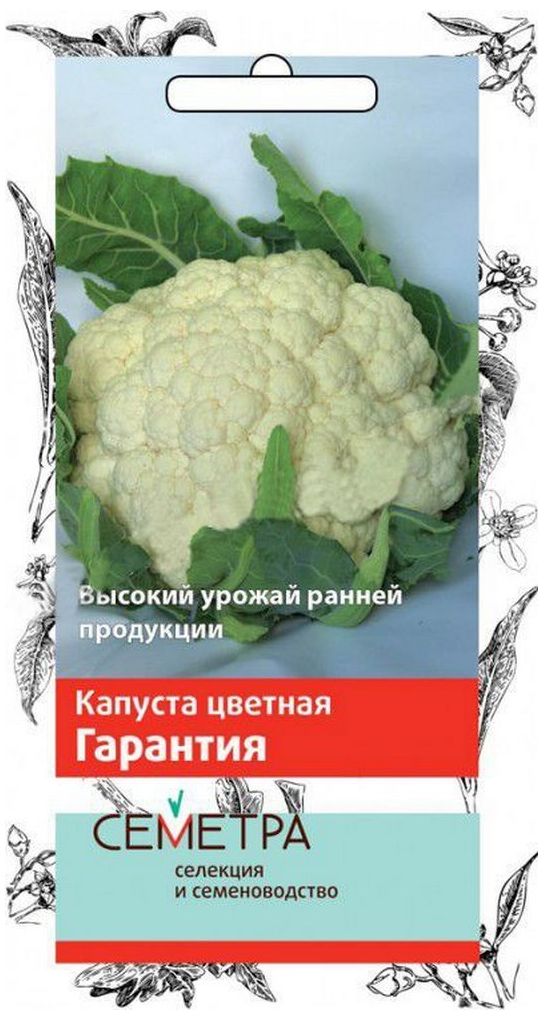 Изображение товара Семена Капусты ПОИСК СЕМЕТРА Гарантия 0,5 г