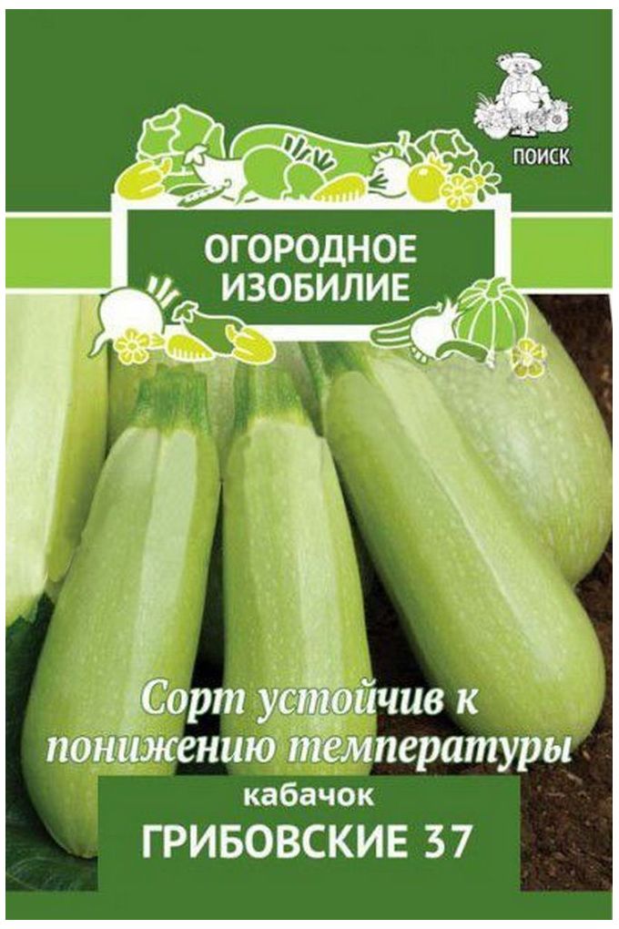 Изображение товара Семена Кабачка ПОИСК Грибовские 37 12 x 1 г