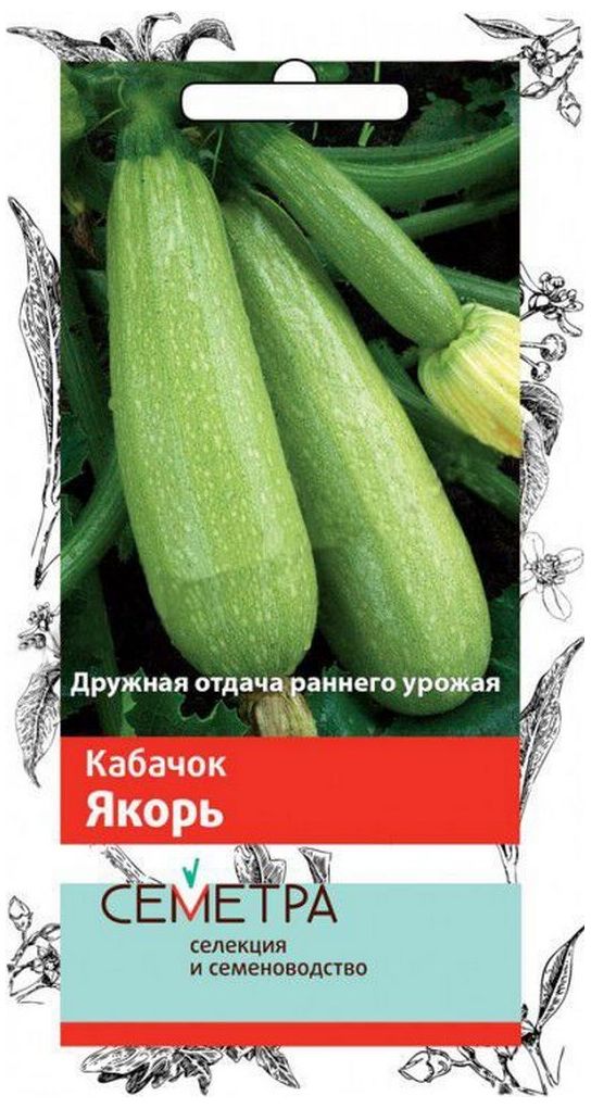 Изображение товара Семена Кабачка ПОИСК Якорь 12 шт