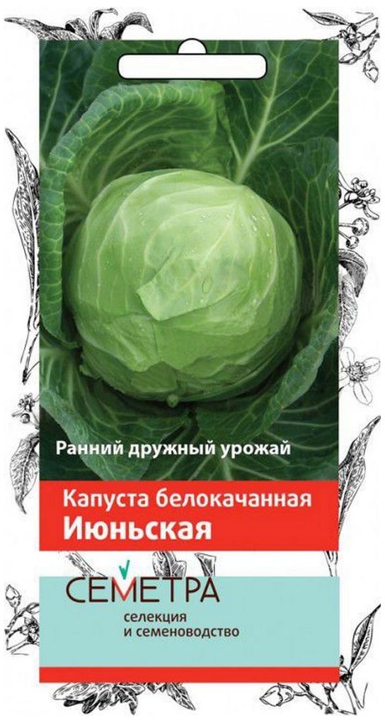 Изображение товара Семена Капусты ПОИСК СЕМЕТРА Июньская 0,5 г