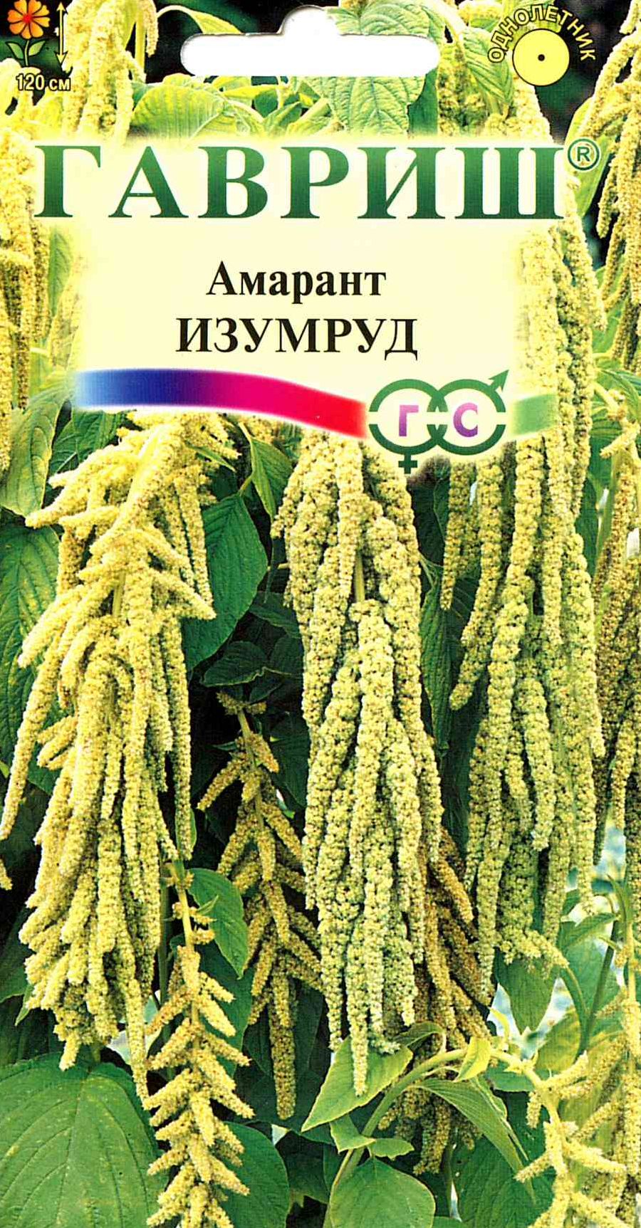 Изображение товара Семена Амарант Изумруд ГАВРИШ 1 гр