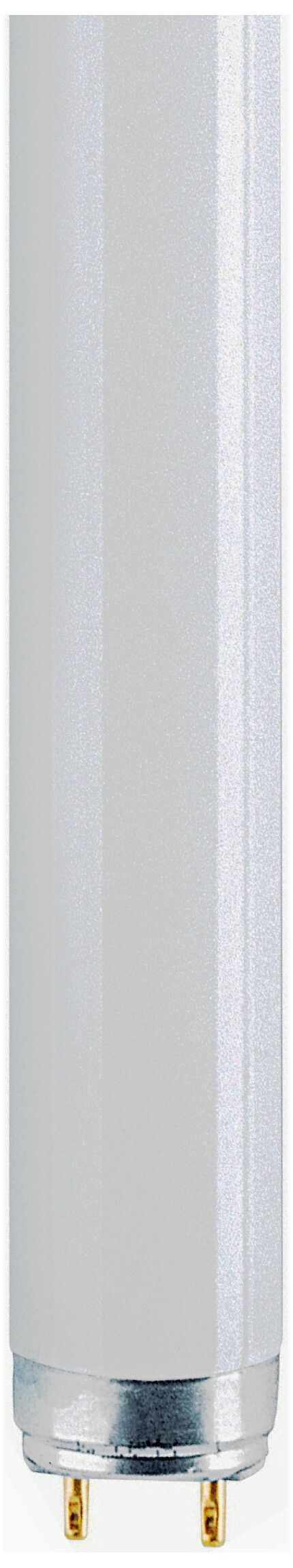 Изображение товара Лампа LEDVANCE люм 58w/4600 G13 T8 дневной для освещения