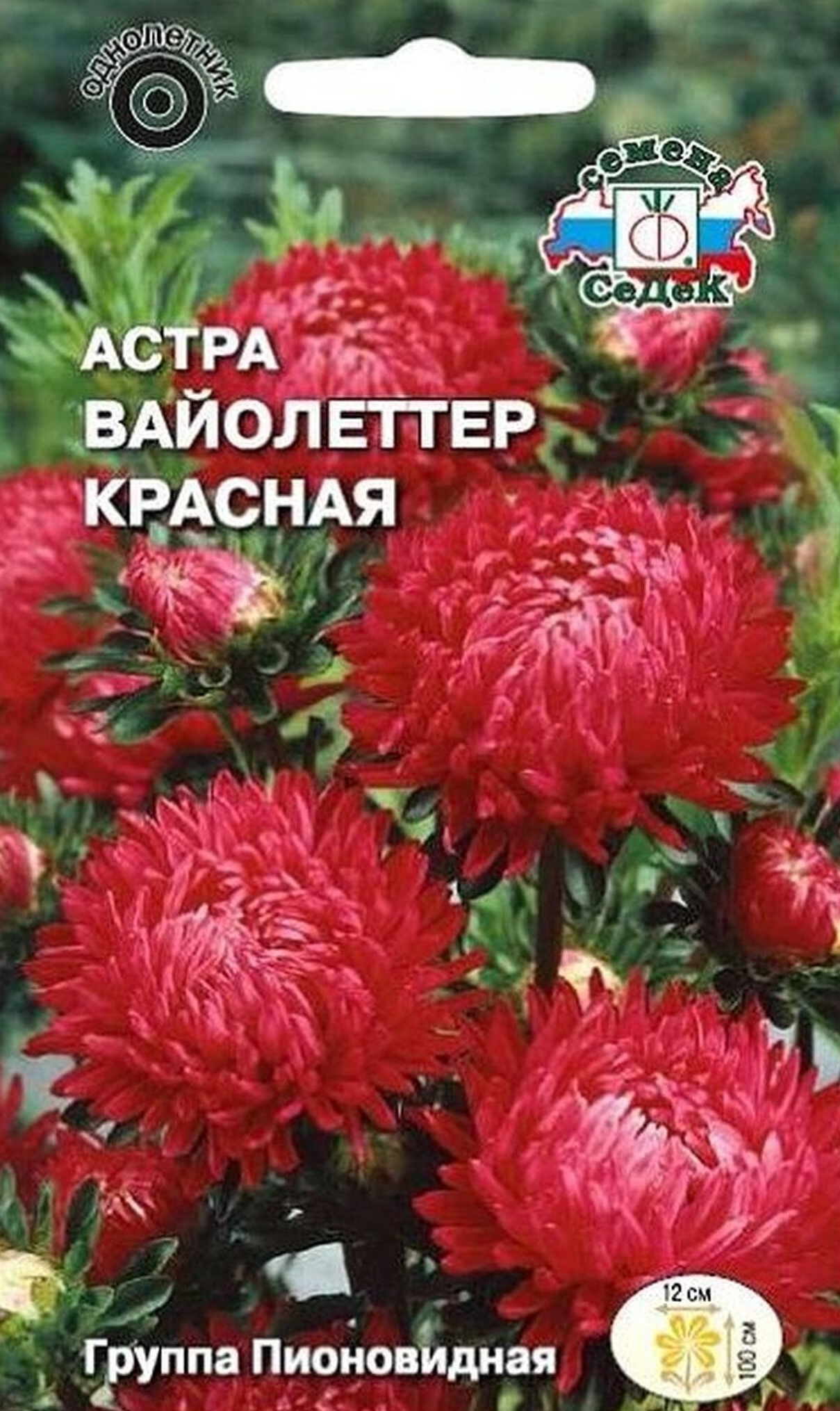 Изображение товара Семена Астры СеДеК Вайолеттер красная 0,4 г