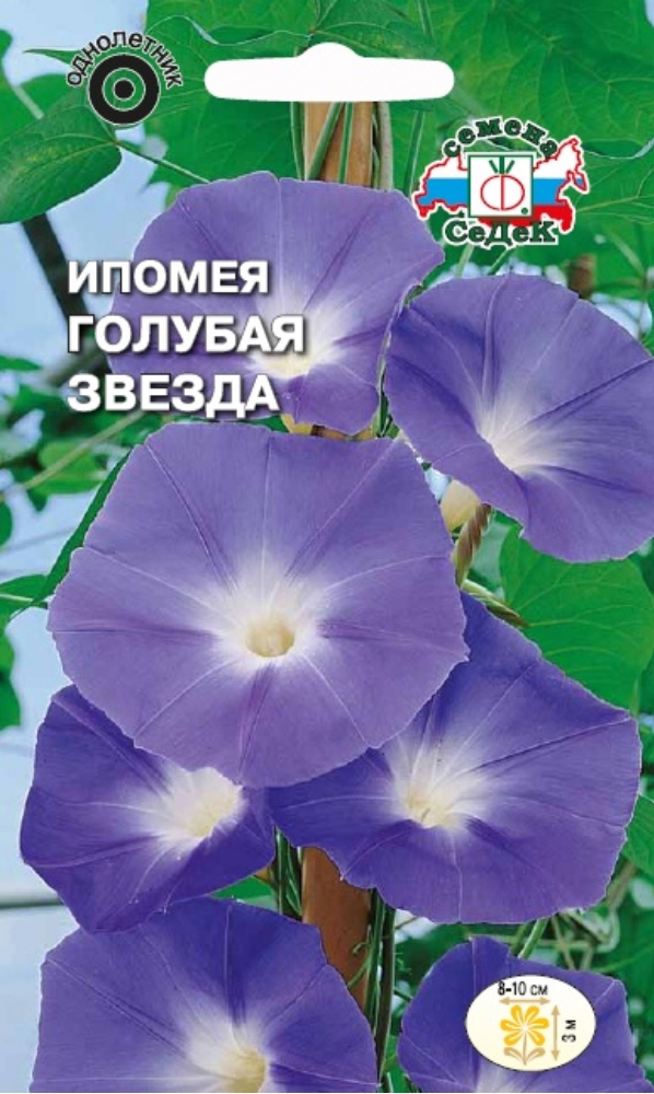 Изображение товара Семена Ипомея Голубая Звезда СеДек