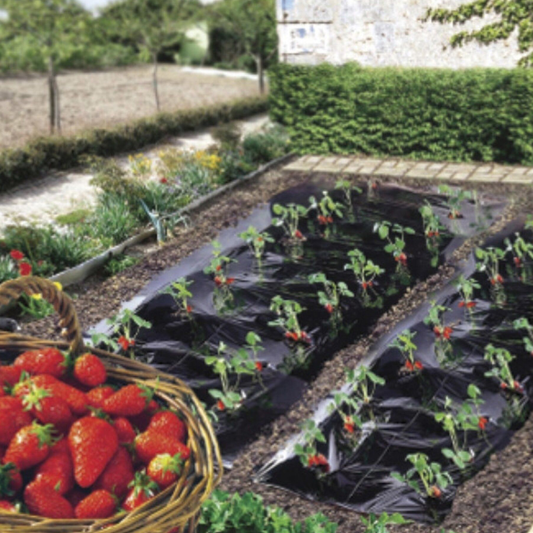 Изображение товара Мульчирующая пленка Planet Garden 1,4х20 м