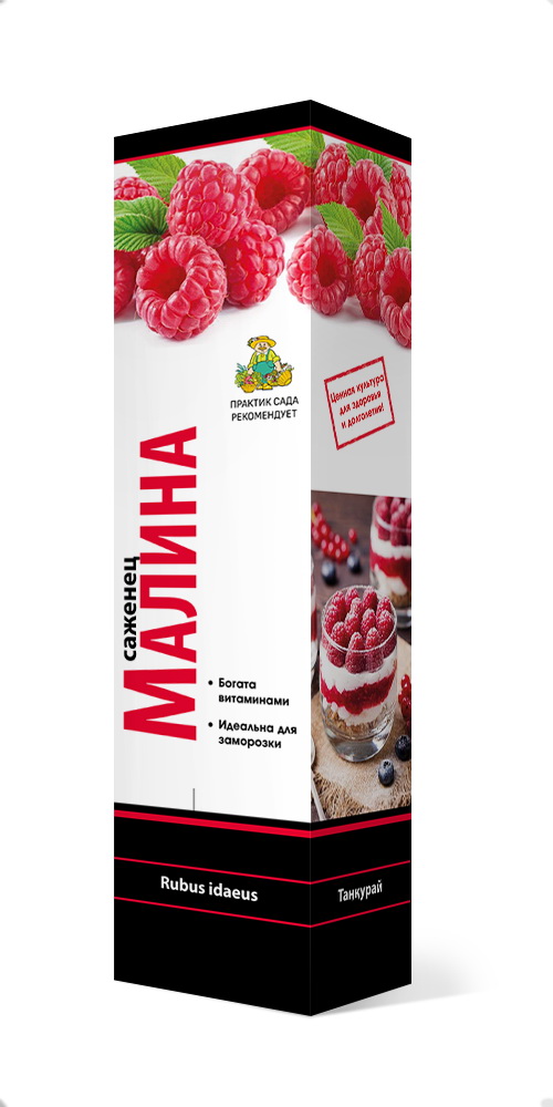 Изображение товара Саженец малина Бригантина С1 Н37 среднепоздний сорт крупные ягоды