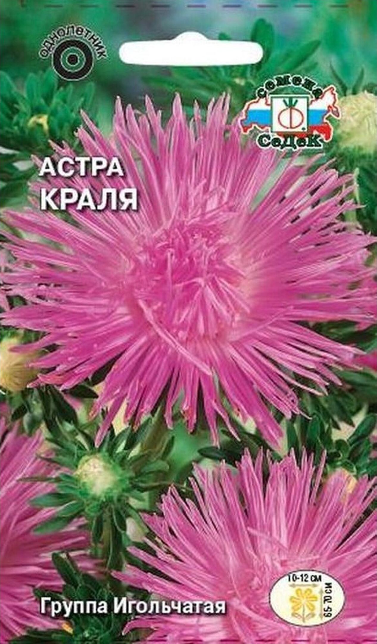 Изображение товара Семена Астры СеДеК Краля 0,25 г