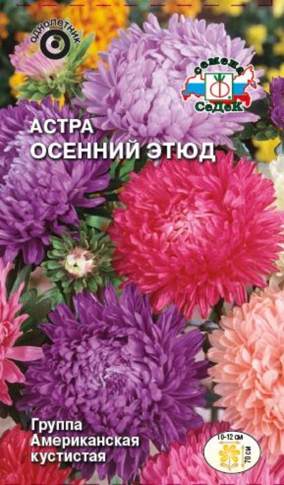 Изображение товара Семена Астра Осенний этюд смесь СеДек