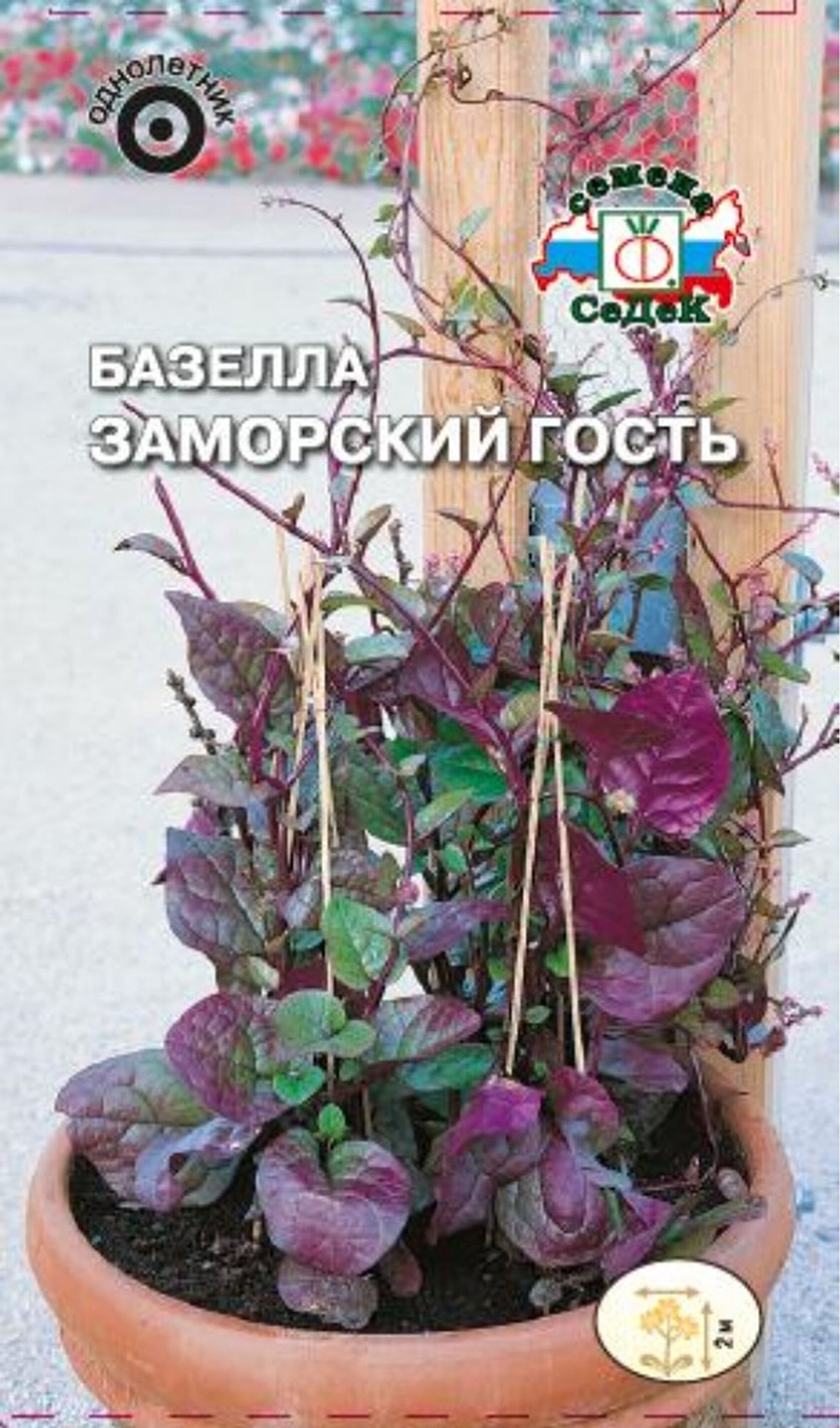 Изображение товара Семена Базеллы СеДек Заморский гость 0,2 г