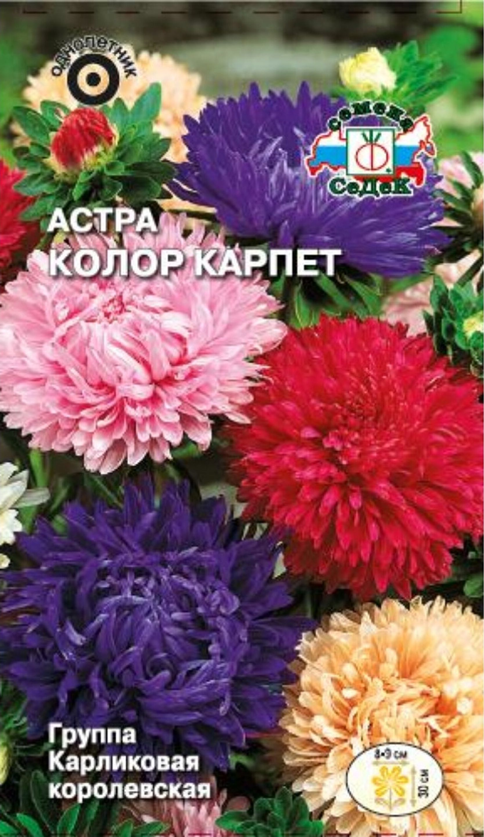 Изображение товара Семена Астры СеДек Колор карпет 20 г