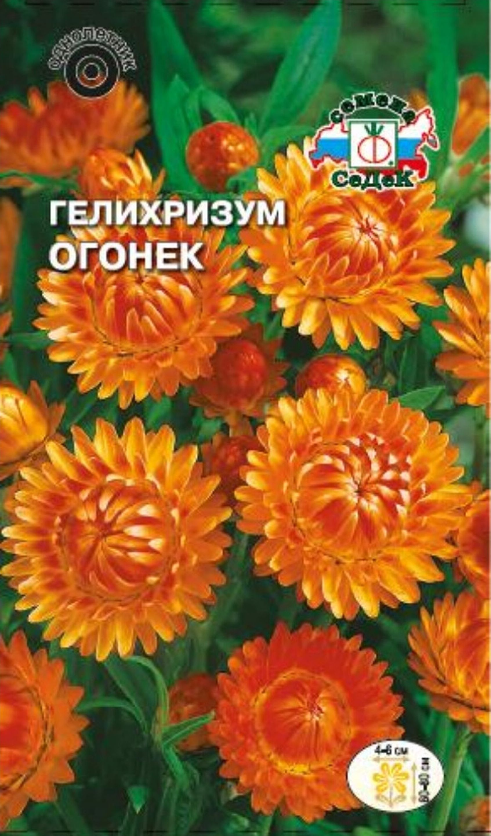 Изображение товара Семена Бессмертника СеДек Огонек 0,25 г