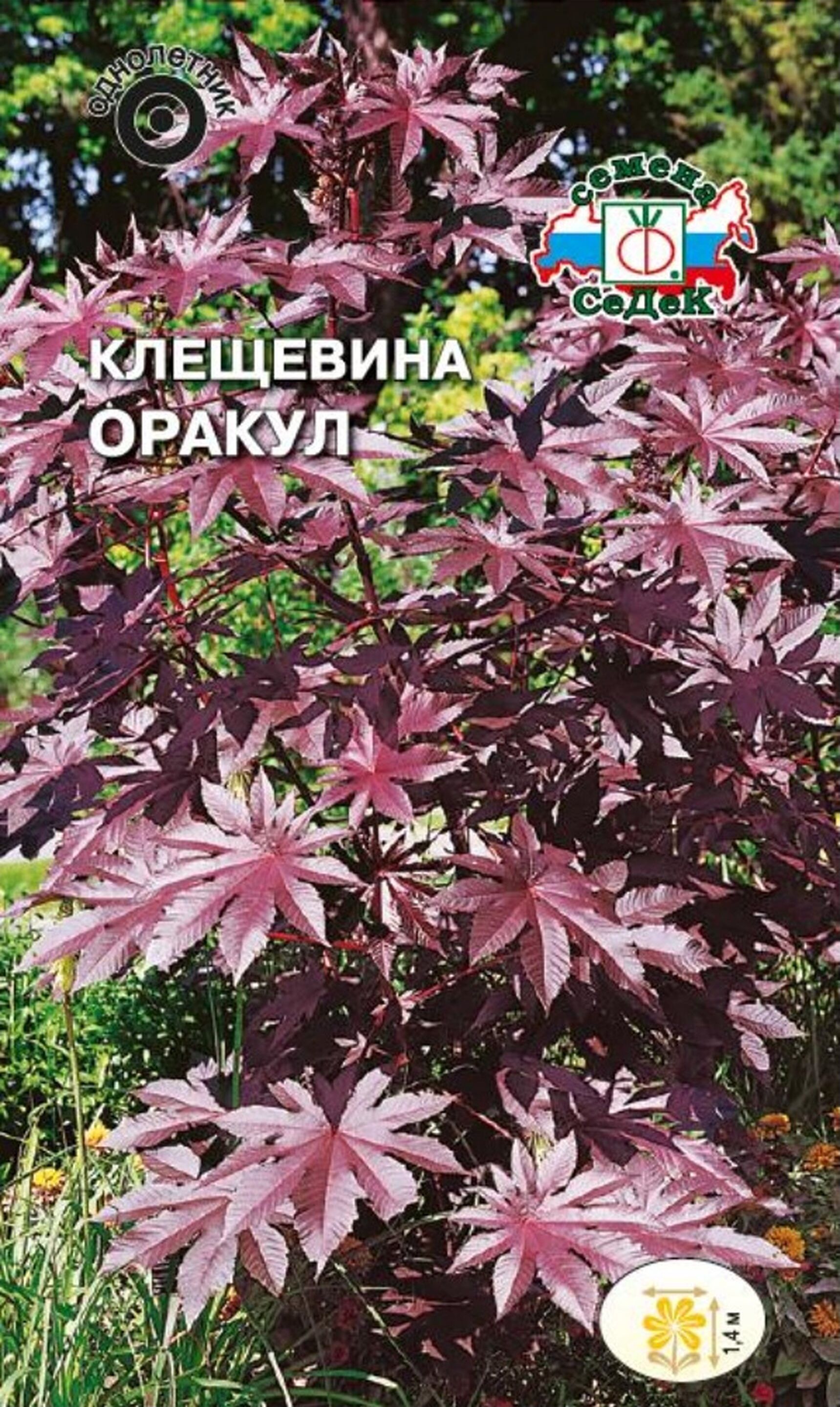 Изображение товара Семена Клещевины СеДек Оракул 1 г