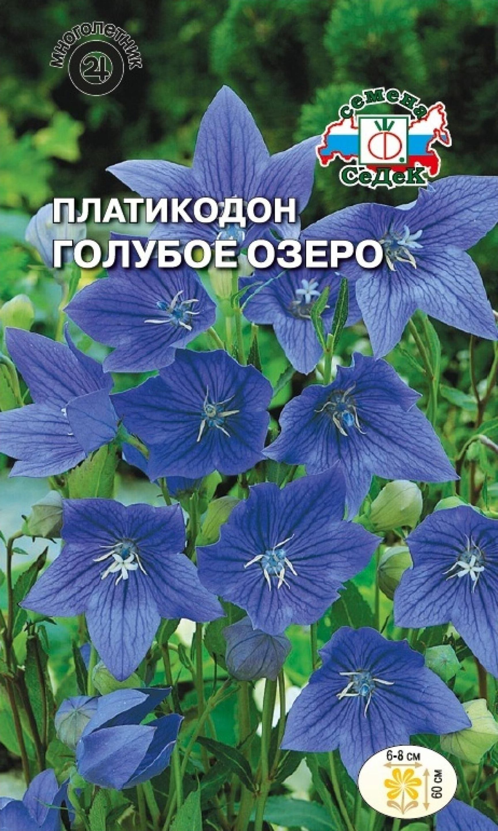 Изображение товара Семена Платикодона СеДеК Голубое озеро 0,1 г