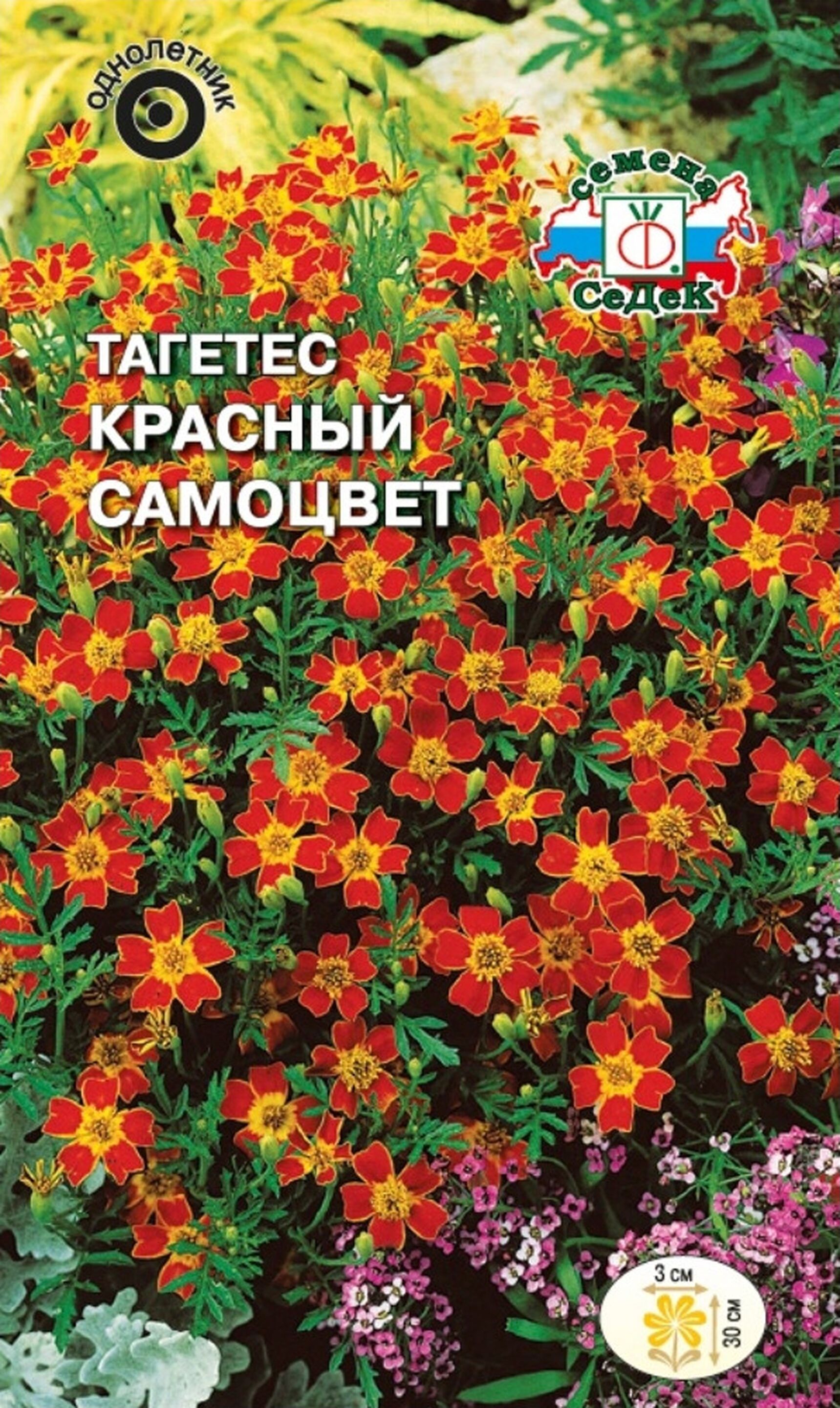 Изображение товара Семена Бархатца СеДек Красный Самоцвет 0,1 г