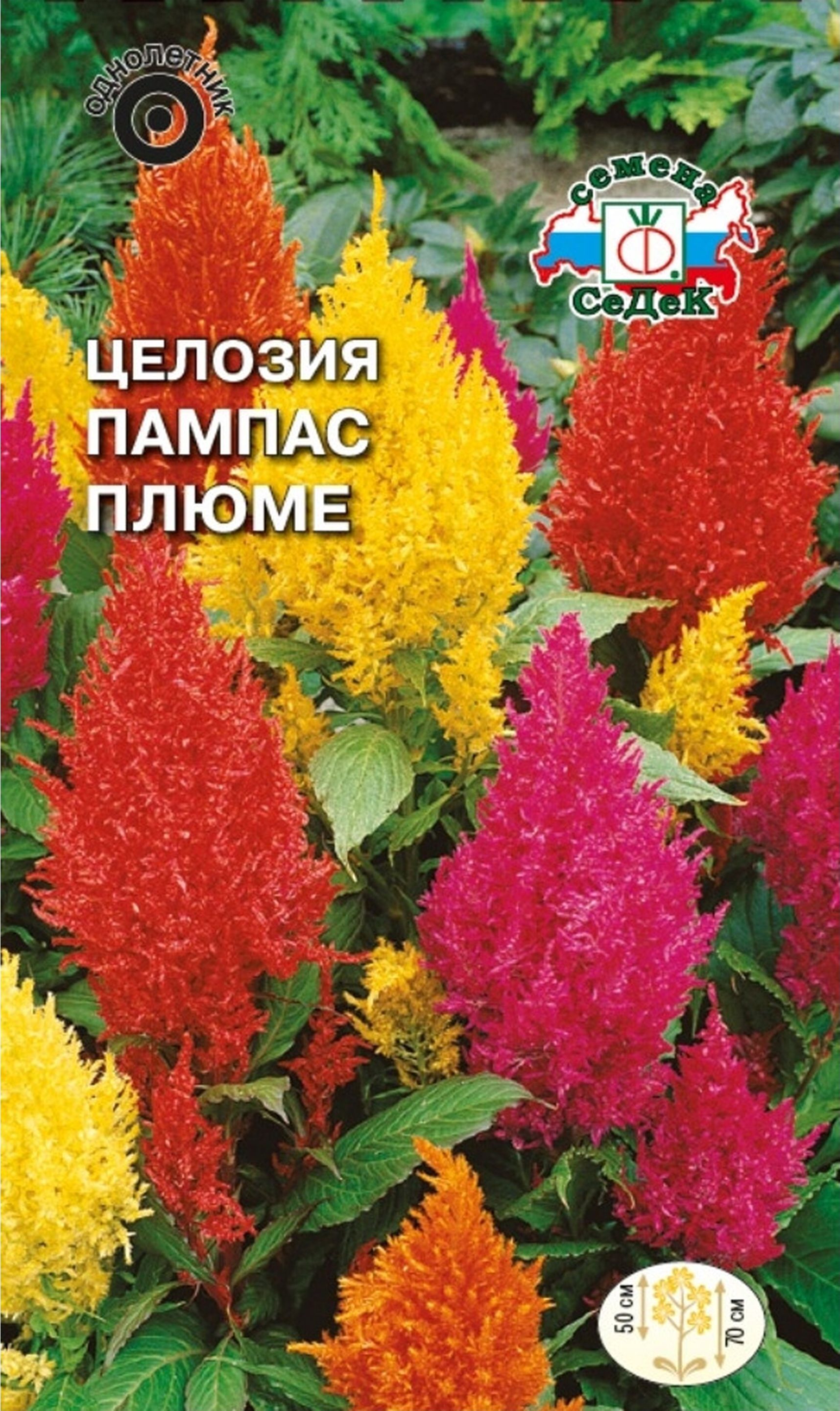 Изображение товара Семена Целозии СеДек Пампас Плюме 0,2 г