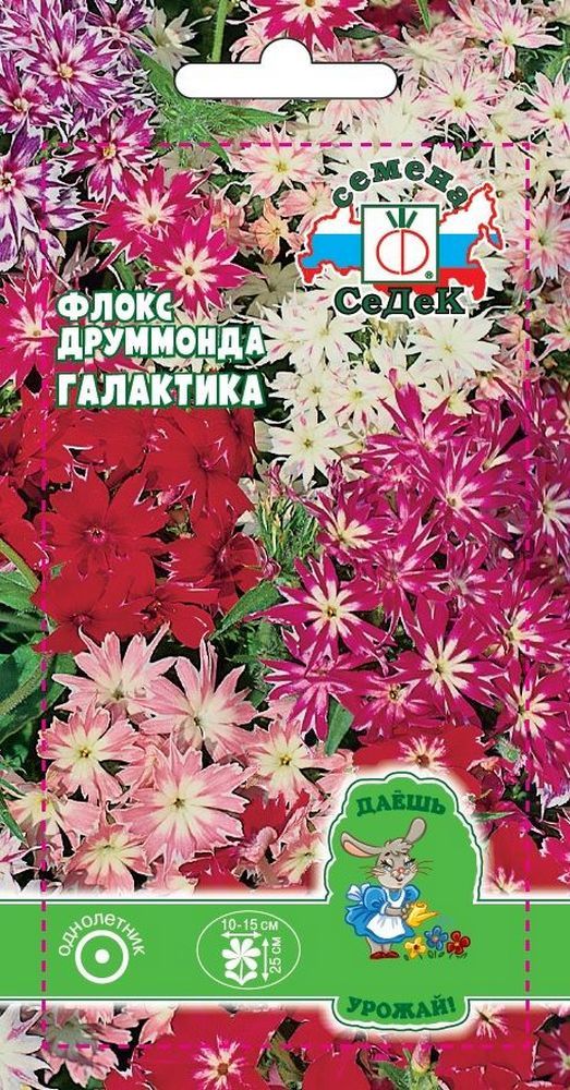 Изображение товара Семена Флокса друммонда СеДеК Галактика смесь 3 г