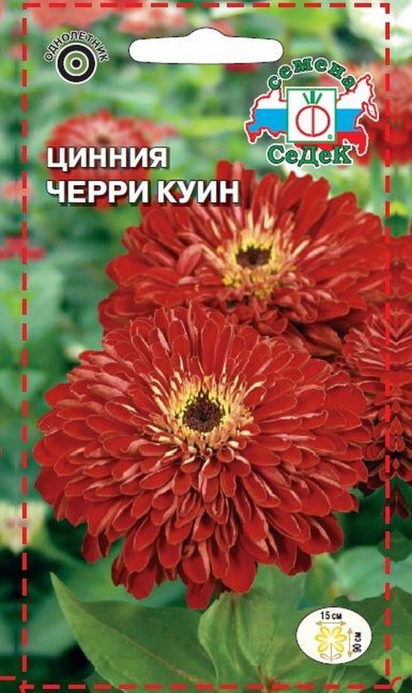 Изображение товара Семена Циннии СеДеК Черри Куин 3 г