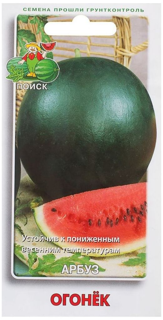 Изображение товара Семена Арбуза ПОИСК Огонек 15 г