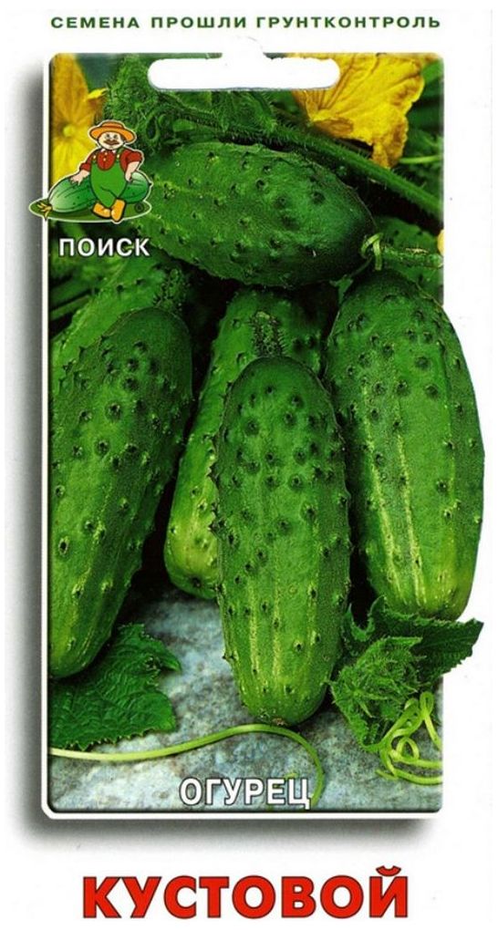 Изображение товара Семена Огурца ПОИСК Кустовой 15 шт