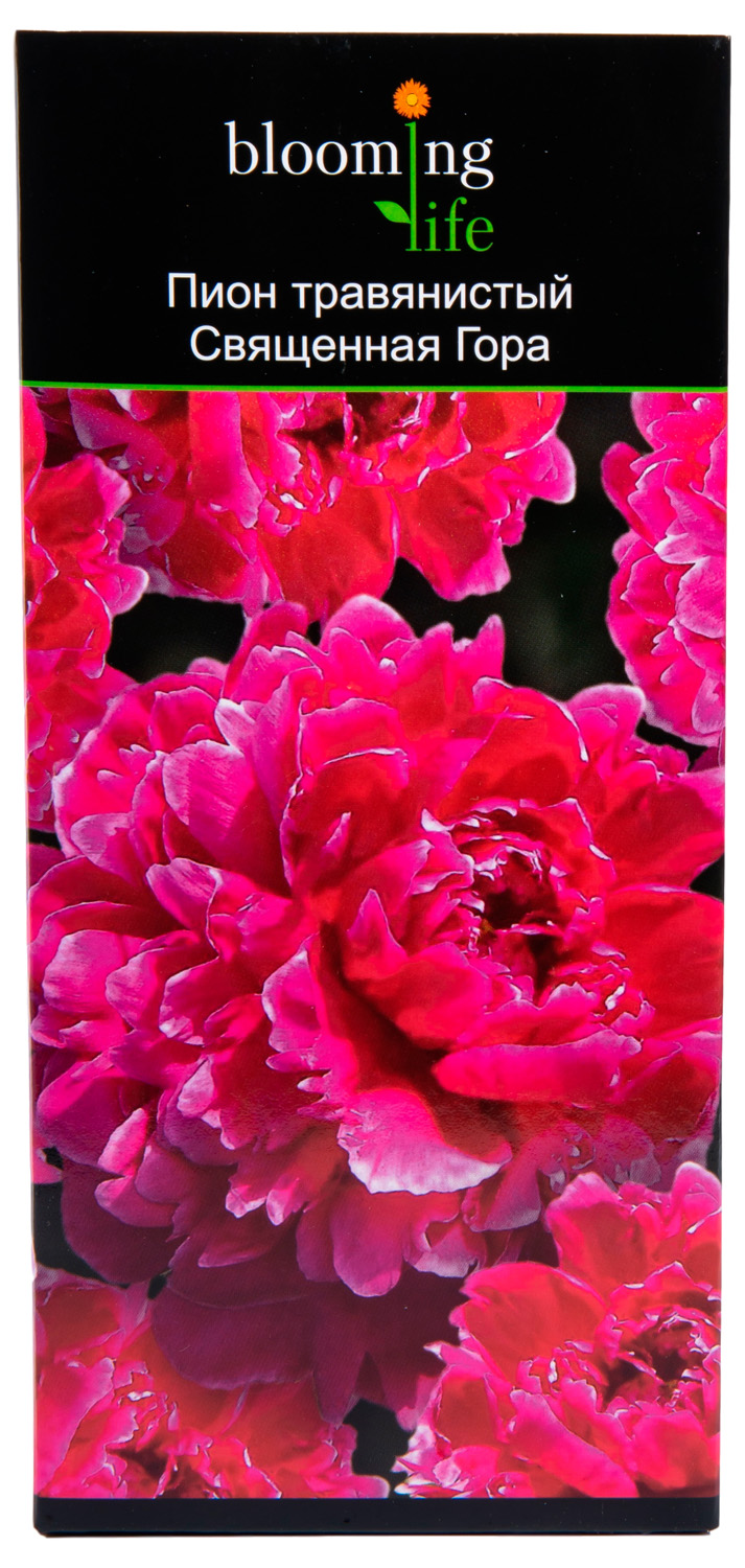 Изображение товара Пион 7 ЦВЕТОВ Священная гора в коробке - травянистое растение для сада