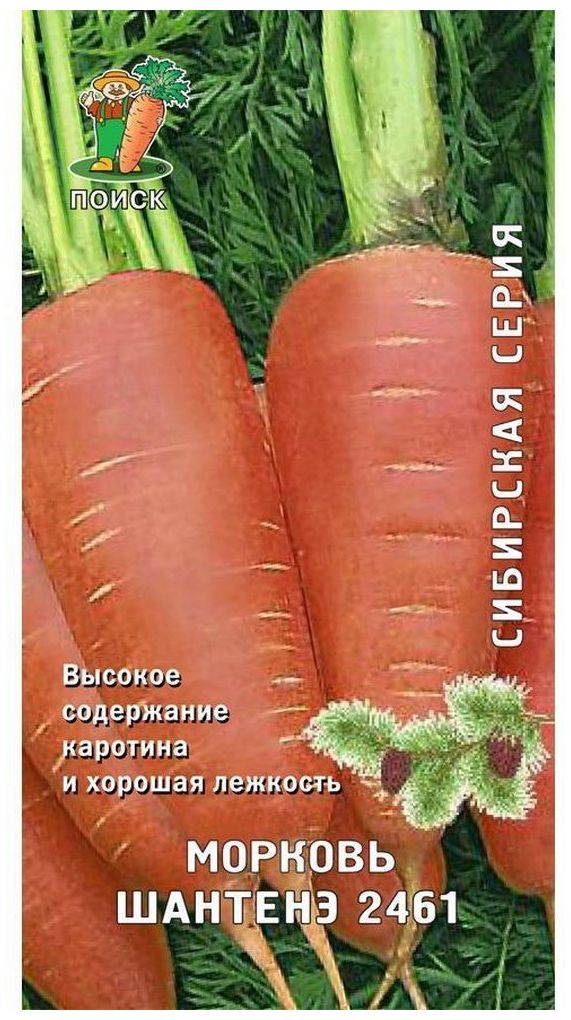 Изображение товара Семена Моркови ПОИСК Шантенэ 2461 2 г
