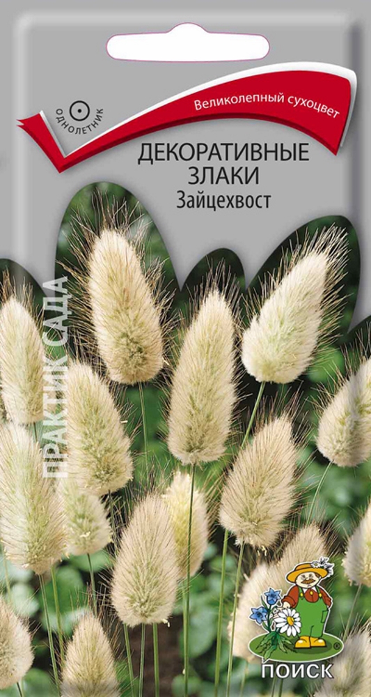 Семена Декоративные злаки Зайцехвост - купить по цене 29 руб. в Москве и РФ