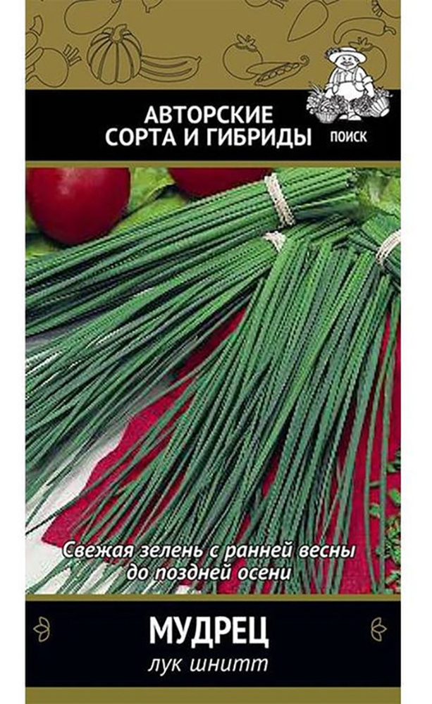 Изображение товара Семена Лука шнитта ПОИСК Мудрец 0,5