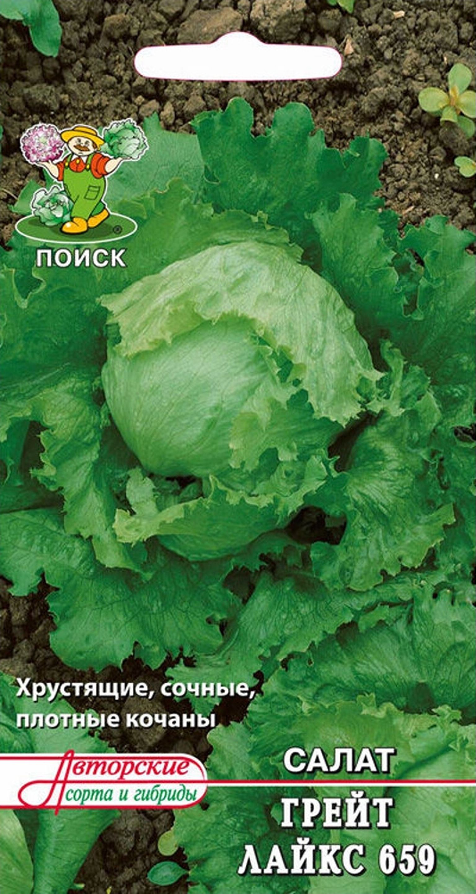 Изображение товара Семена Салата ПОИСК Грейт Лайкс 659 1 г