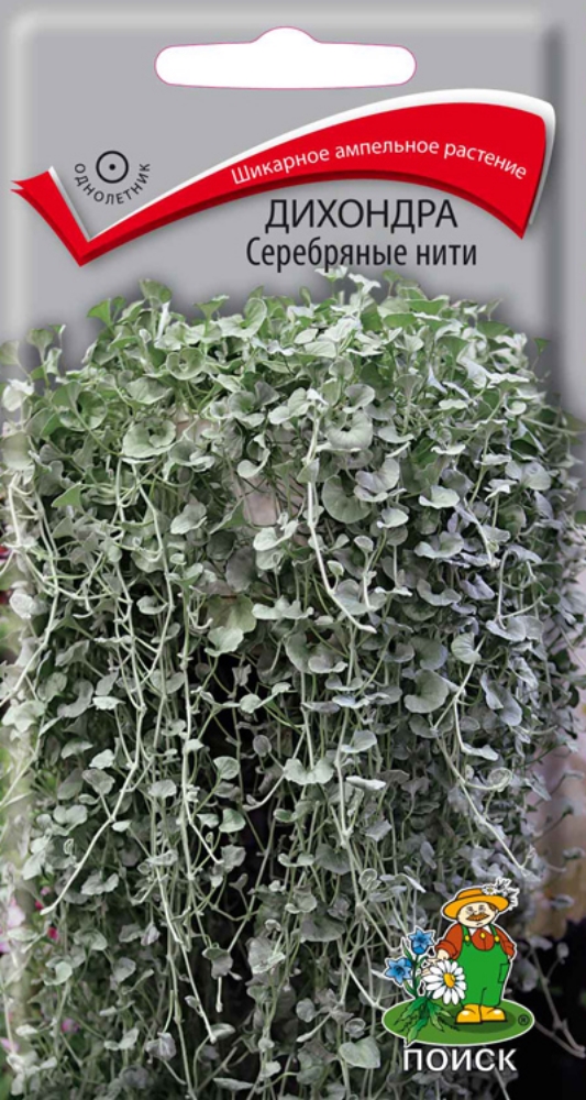 Изображение товара Семена Дихондра Серебряные Нити Поиск 5 шт
