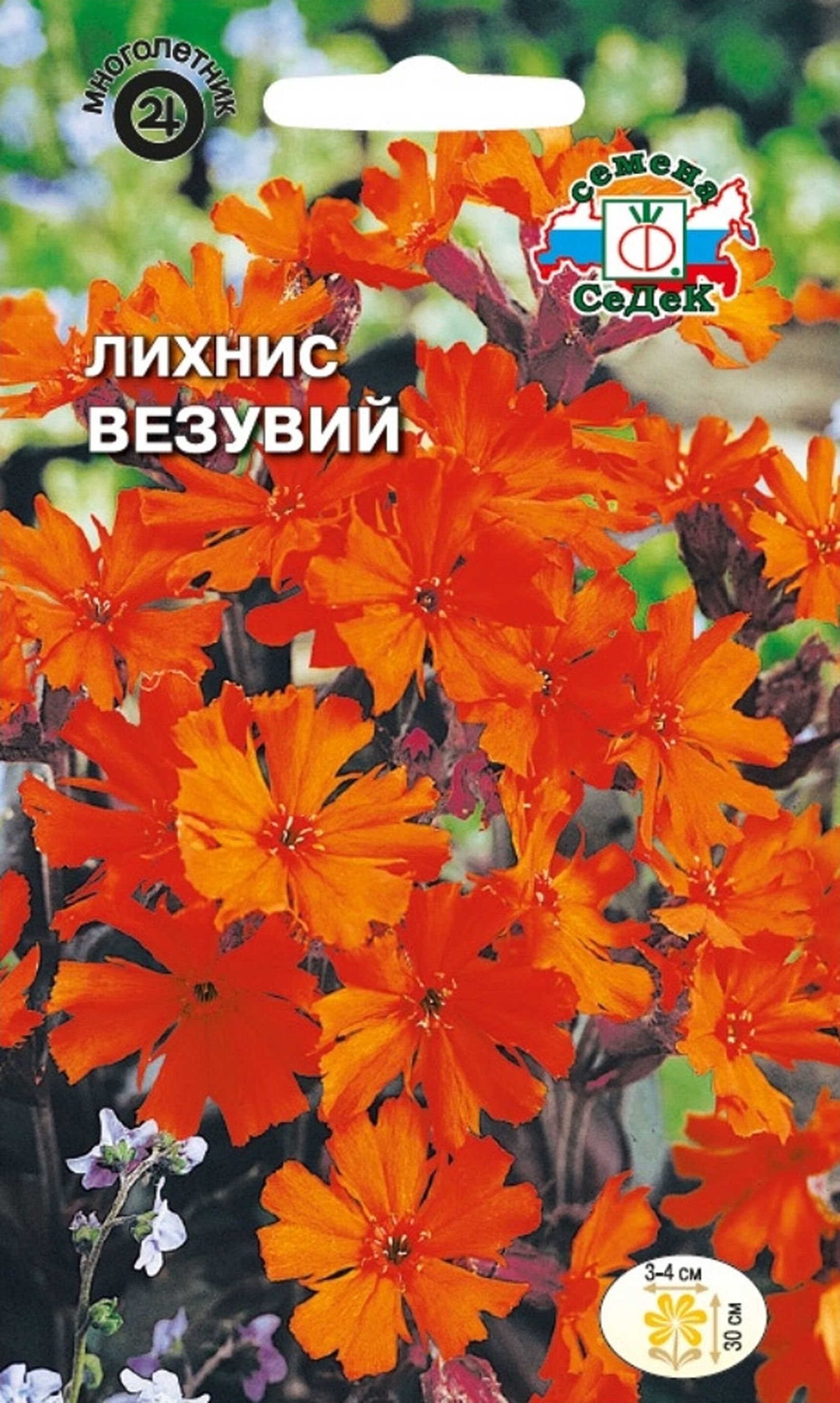 Изображение товара Семена Зорьки СеДек Везувий 0,25 г