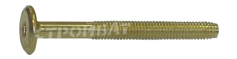 Изображение товара Винт мебельный плоский латунированный М6 х 100мм 4 штуки