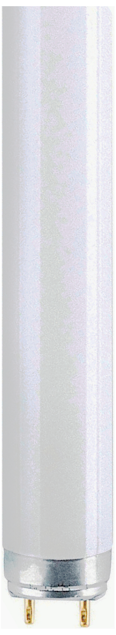 Изображение товара Люминесцентная лампа OSRAM LUMILUX G13 T8 18 Вт 1350 лм 3000 К трубка