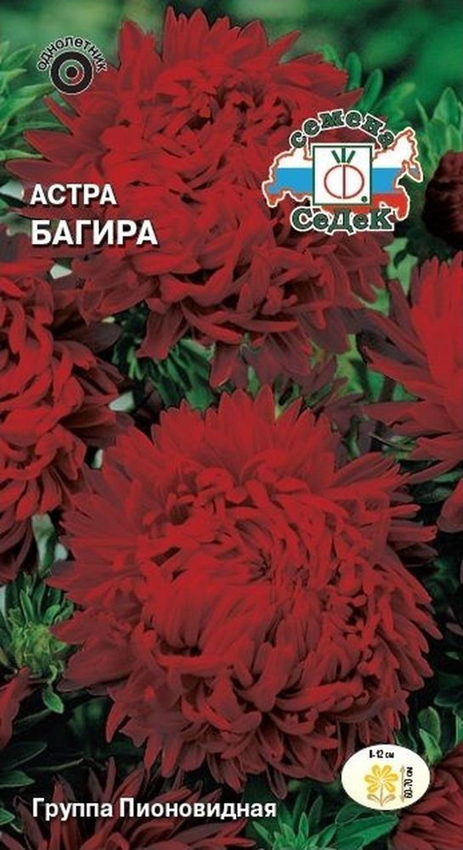 Изображение товара Семена Астры СеДеК Багира 0,2 г