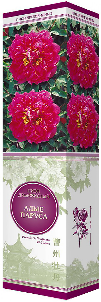 Изображение товара Пион древовидный Алые Паруса морозоустойчивый кустарник