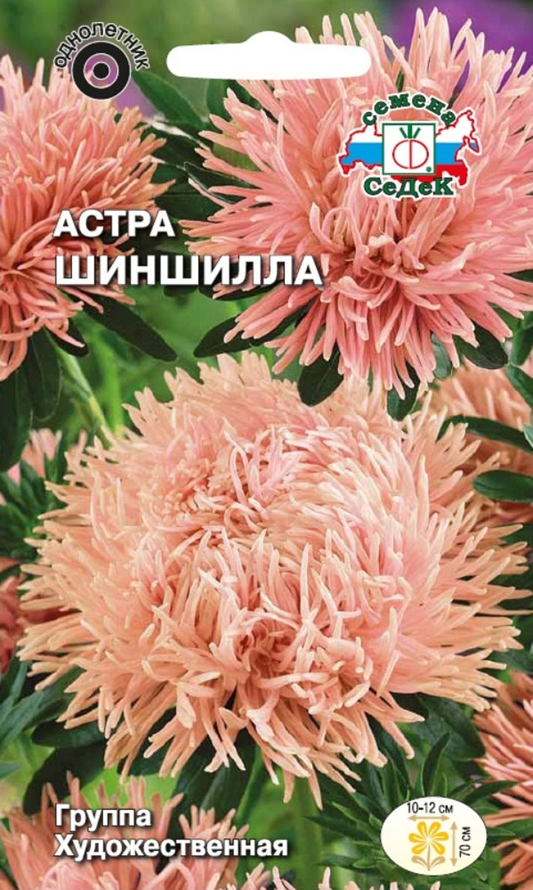 Изображение товара Семена Астры СеДеК Шиншила 3 г