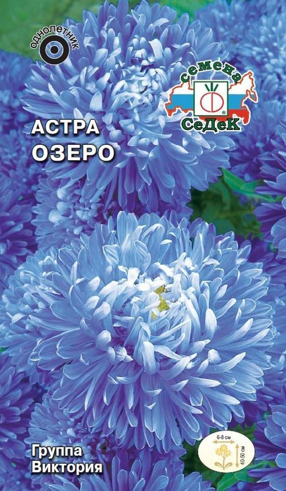 Изображение товара Семена Астры СеДеК Озеро 3 г