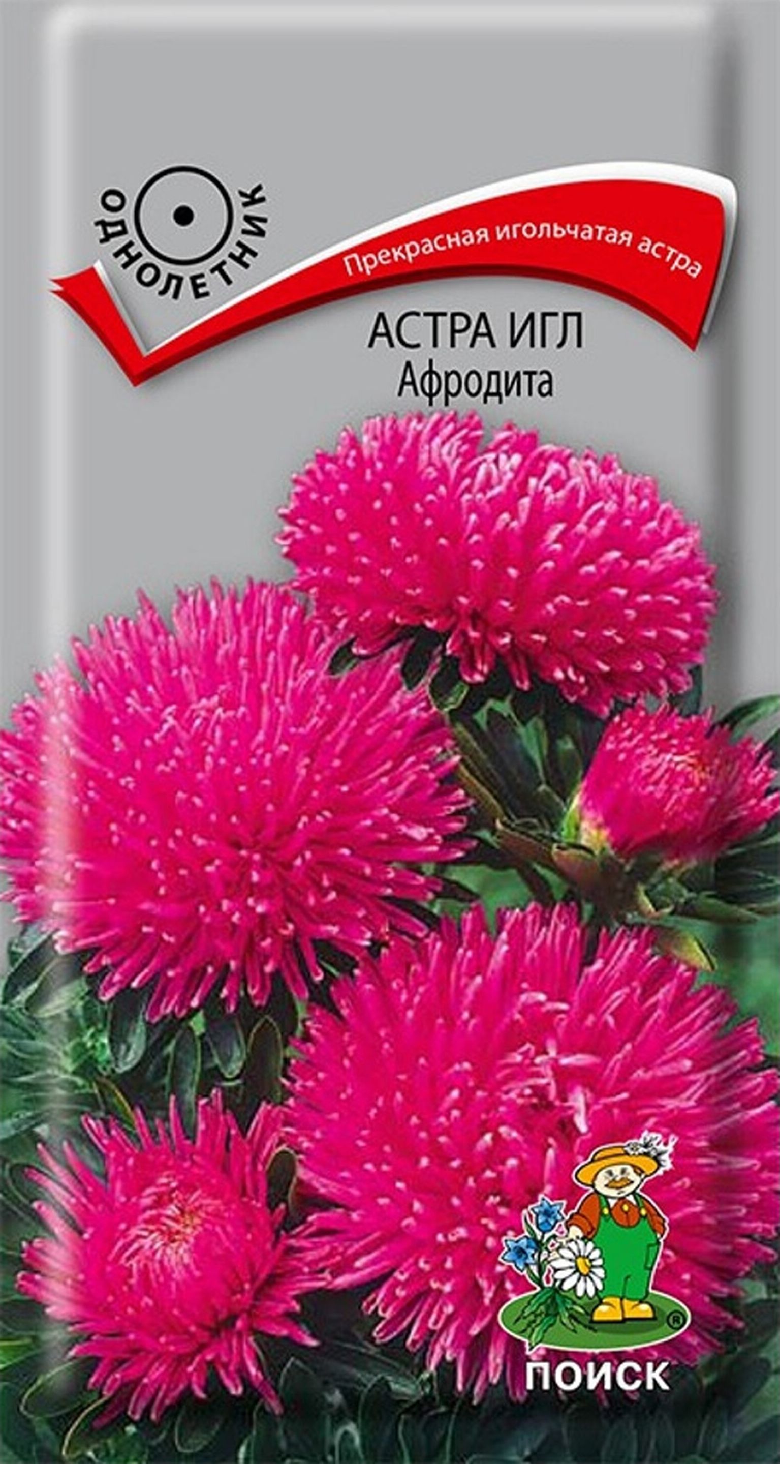 Изображение товара Семена Астры ПОИСК Игл Афродита 0,3 г