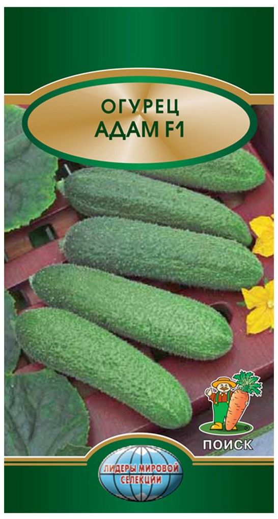 Изображение товара Семена Огурца ПОИСК Адам F1 10 шт