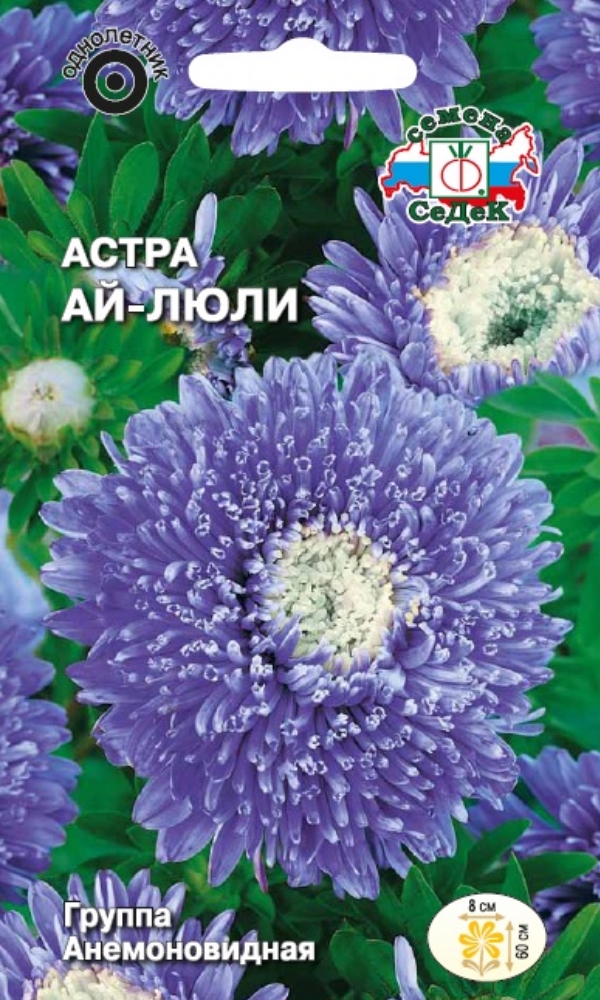 Изображение товара Астра Ай-люли СеДек